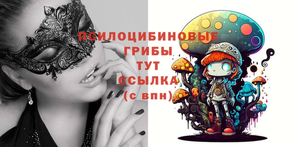 мдпв Абинск