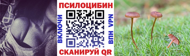 ссылка на мегу рабочий сайт  Тюкалинск  Псилоцибиновые грибы Magic Shrooms 